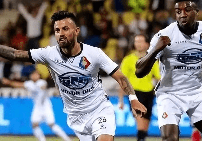 金羽佳和黄 金羽佳和黄