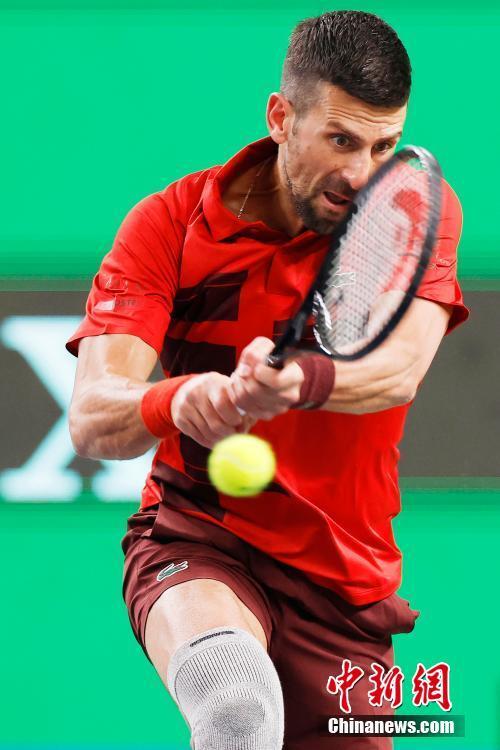 本赛季他们 本赛季他们