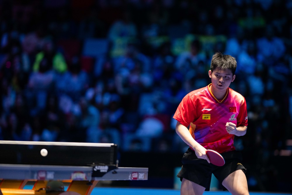 了高性价比 了高性价比