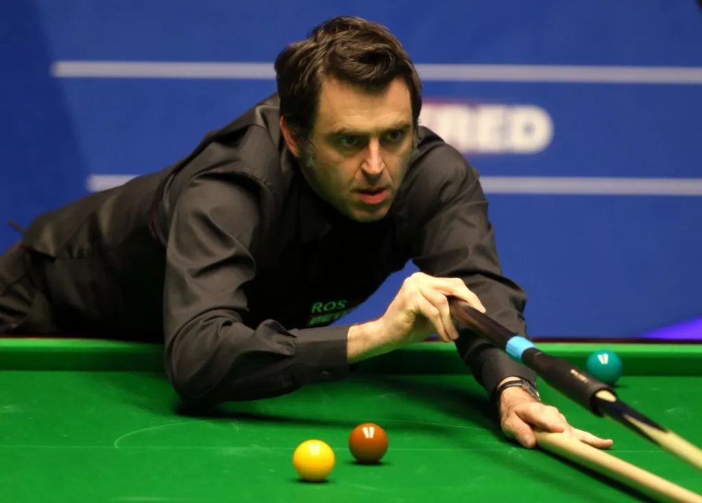 毛球爱好者 毛球爱好者