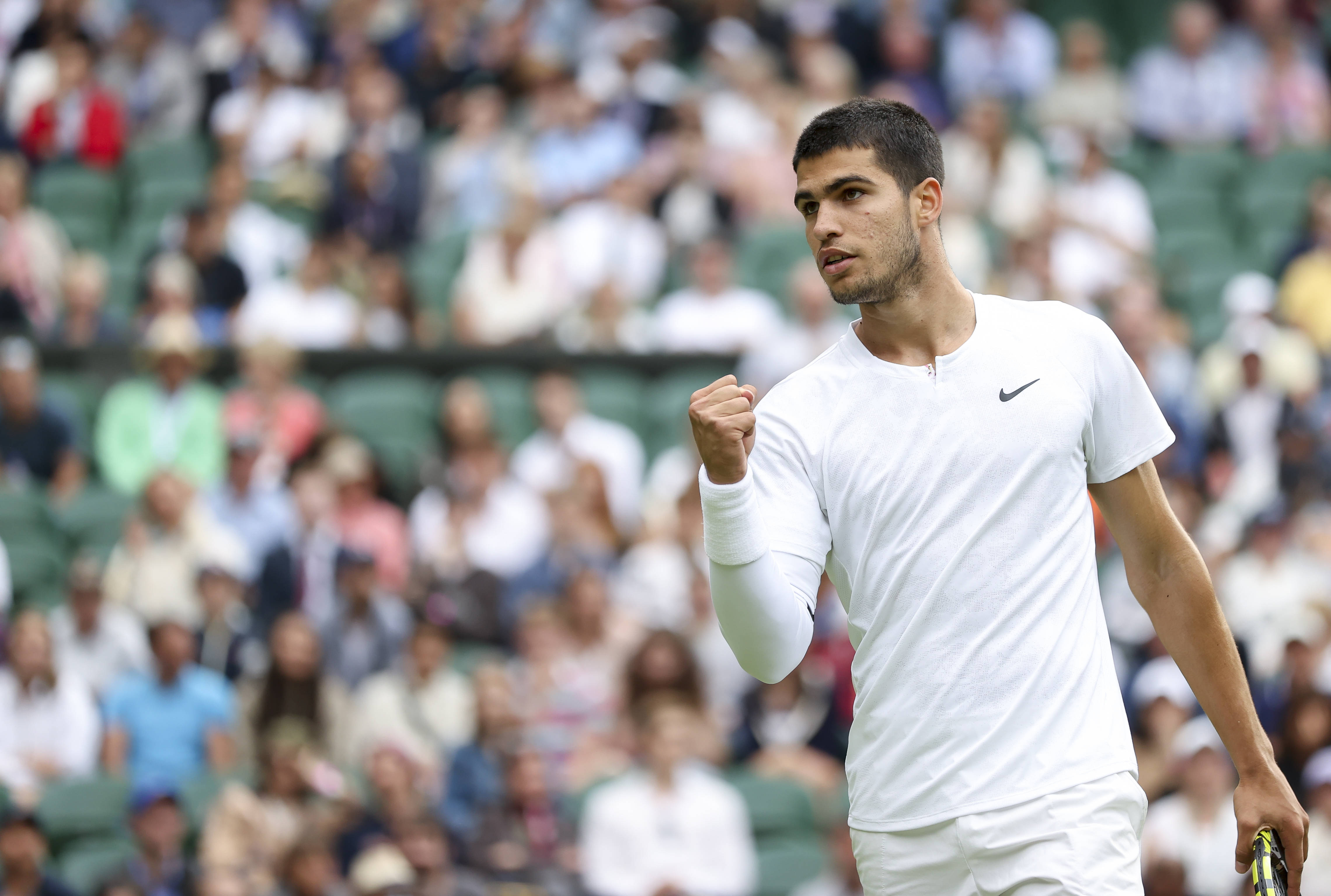 节以海南黎 节以海南黎